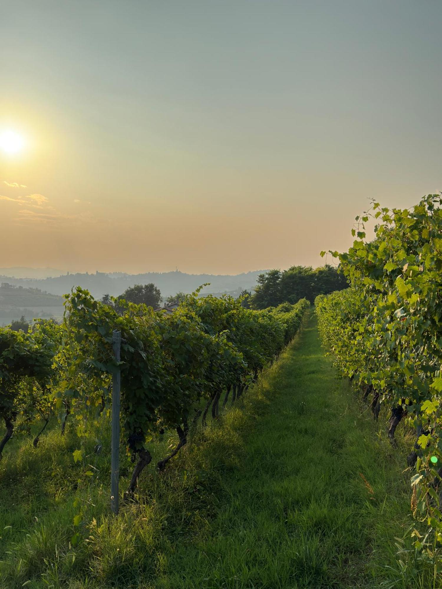 Relais Conac 1888 - Luxury B&B - Adults Only Castelnuovo Don Bosco Buitenkant foto